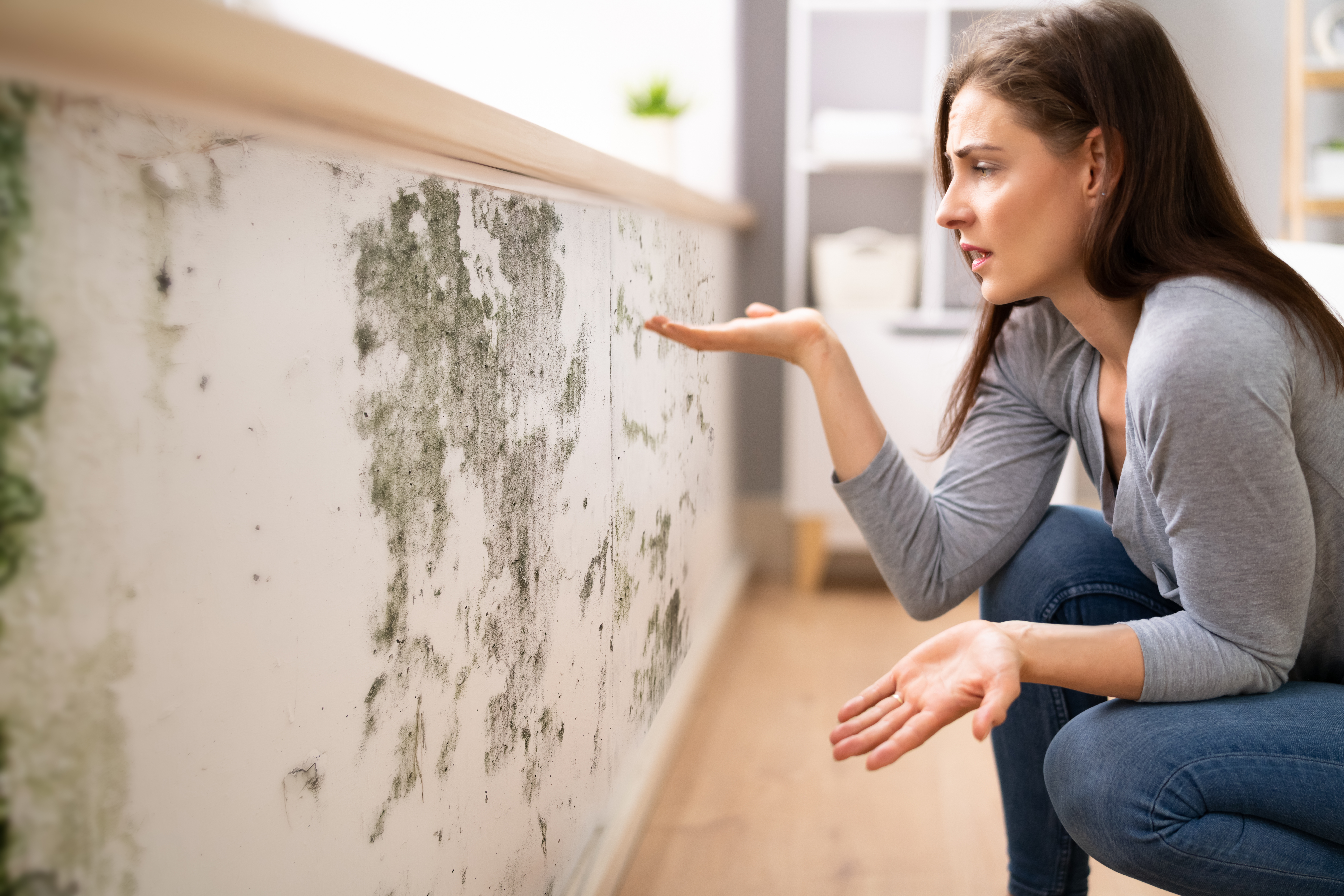 Side View Of A Shocked Young  Woman Looking At Mold On Wall