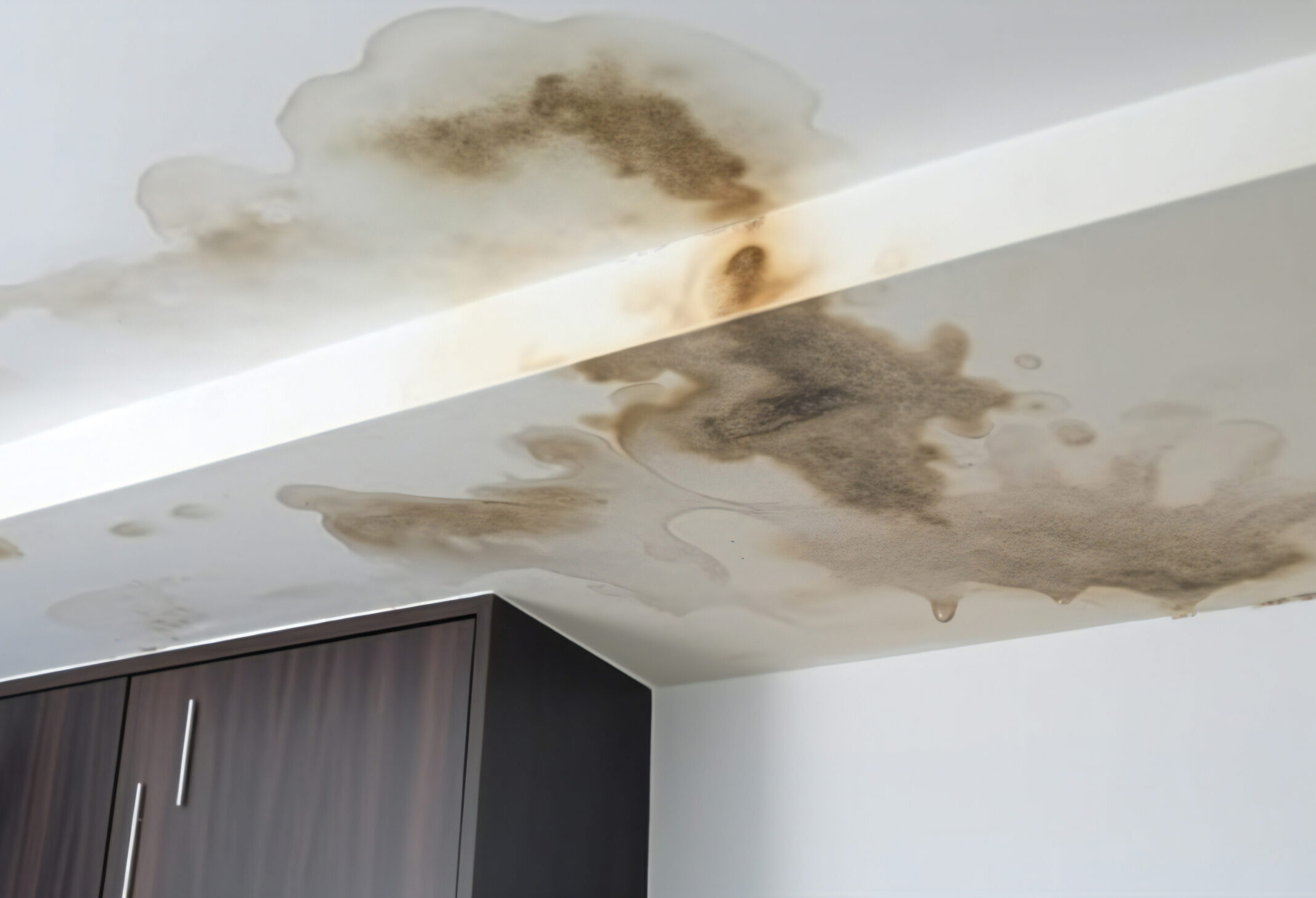Ceiling Stain and Water-Damaged Roof due to Roof Leakage